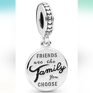Pandora Bracelet Charms " Friends are the Family You Choose"